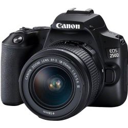 Canon EOS Rebel SL3/250D DSLR Camera with 18-55mm Lens (Black)